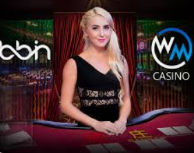 pg入口电脑免费版